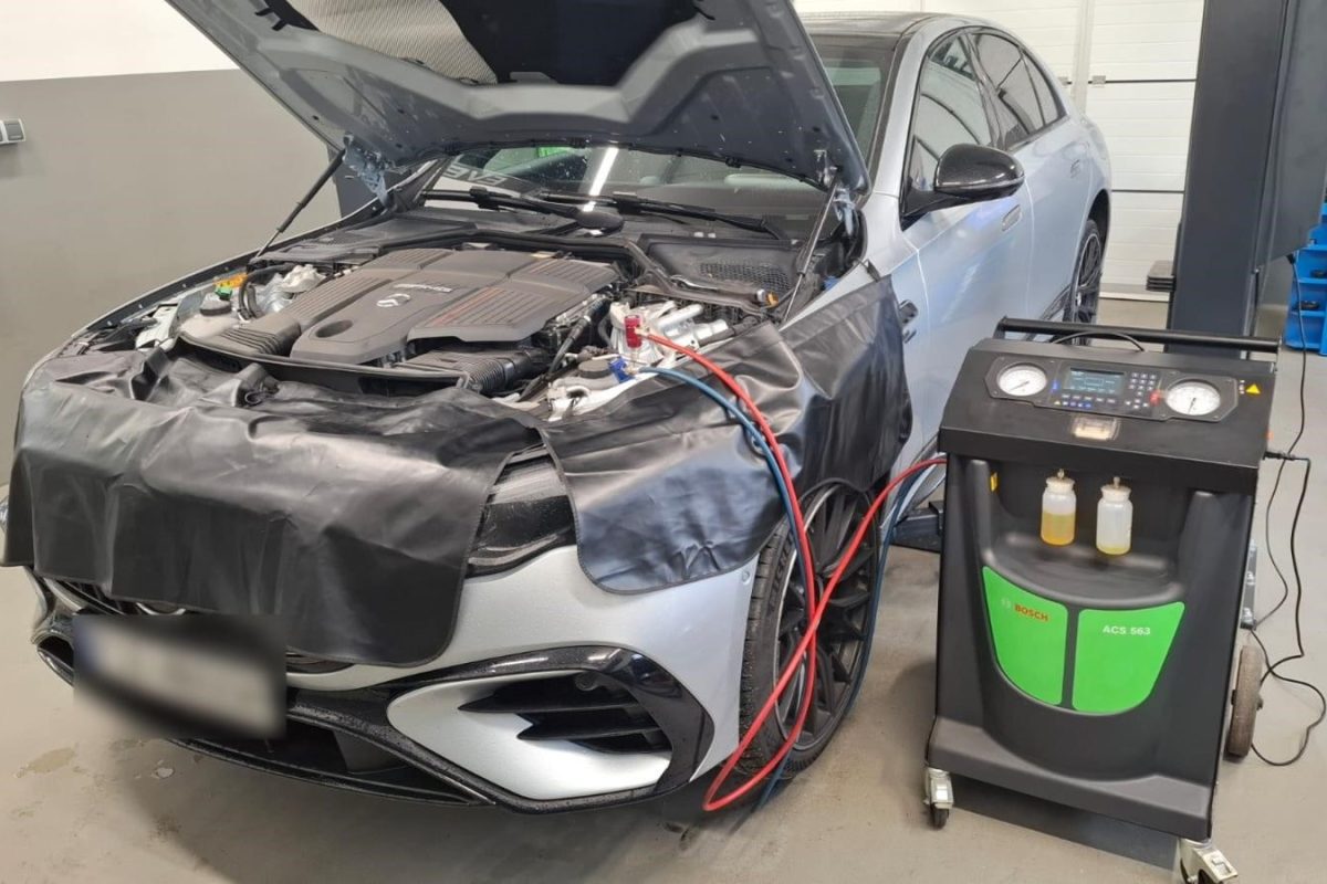 Zdjęcie WhatsApp 2025-11-04 o 20.49.07_343efc84 (1)